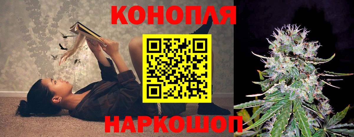 Канабис OG Kush Старая Купавна